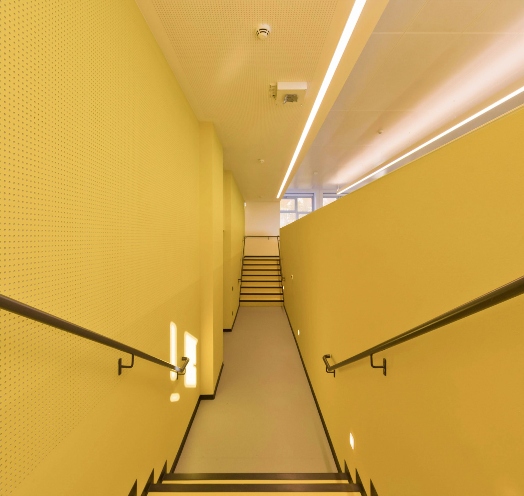 Hallway of HSN conference room in yellow colours.